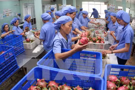 越南水果走出国门