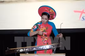 越南艺人表演节目（图片来源：越通社）