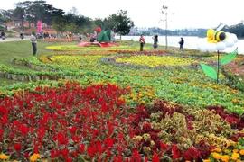 大叻市鲜花（图片来源：越通社）