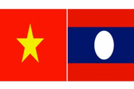 附图（图片来源于网络）