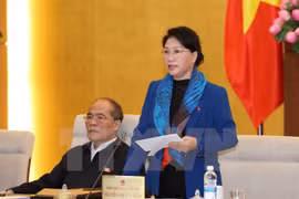 越南国会副出席阮氏金银在会议上发表讲话（图片来源：越通社）