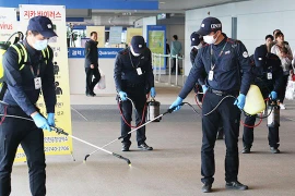 喷灭蚊剂（图片来源：Yonhap）