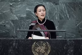 越南常驻联合国代表团团长阮芳娥大使（图片来源：越通社）
