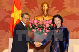 越南国会主席阮氏金银会见日本驻越大使大岛浩。