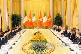 越南国家主席陈大光与爱尔兰总统麦克·希金斯举行会谈（图片来源：越通社）