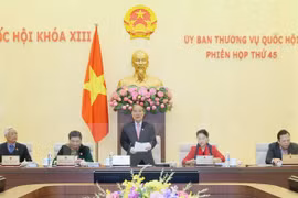 越南第十三届国会常务委员会第45次会议 