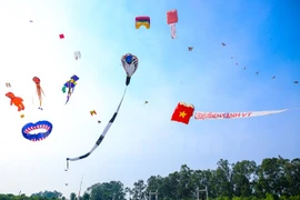 2016年国际风筝节（图片来源：越通社）