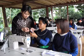 ​附图（图片来源：越南新报）