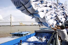 在西贡港拆卸大米