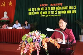 越南国会主席阮氏金银