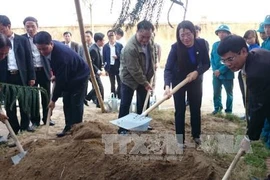 黄忠海副总理出席春季下田节和2016年植树节启动仪式