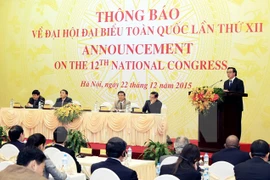 越南共产党第十二次全国代表大会新闻发布会（图片来源：越通社）