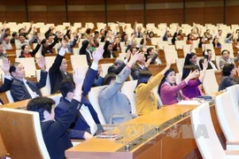 与会代表表决通过国会办公厅的第十四届国会代表候选人名单（图片来源：越通社）