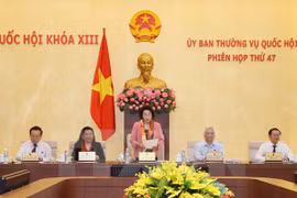 越南国会主席阮氏金银在十三届国会常务委员会第47次会议致开幕词（图片来源：越通社）