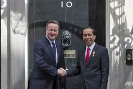 英国首相卡梅伦会见印尼总统佐科·维多多。（图片来源：AFP）