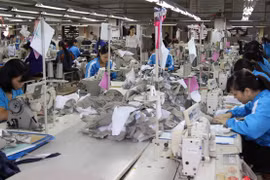 越南企业在农产品、水产品、纺织品服装、鞋类等领域拥有优势​ （图片来源：越通社）