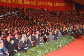 参加越南共产党第十二次全国代表大会的代表（图片来源：越通社）