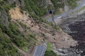 新西兰发生强震使道路严重受损。