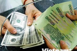 ​附图（图片来源：vietnamplus）