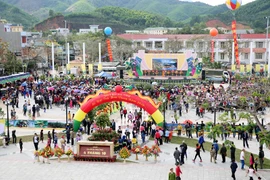 金花茶节（图片来源：baoquangninh.com.vn）