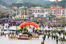 金花茶节（图片来源：baoquangninh.com.vn）
