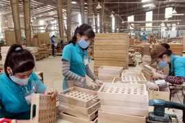  附图（图片来源：越通社）