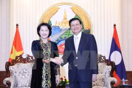 越南国会主席阮氏金银会见老挝总理通论