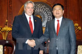 胡志明市委书记丁罗升会见美国国务院高级顾问大卫·索恩（图片来源：越通社）