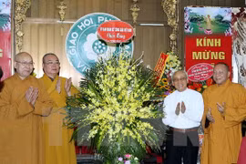 佛历2560年佛诞节活动在越南各地举行 （图片来源：越通社）