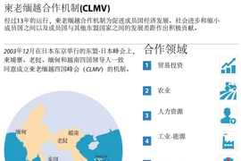 柬老缅越合作机制简介