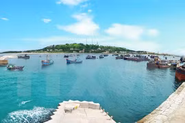 附图（图片来源：越通社）