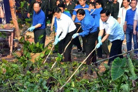 胡志明市委书记丁罗升参加“绿色周日”活动（图片来源：越通社）