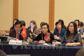越南出席有关抗生素耐药性的亚洲地区卫生部长会议