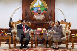 越南国会民族委员会主任何玉战（左）与老挝国会主席巴妮​（右）（图片来源：越通社）