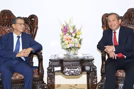 张和平副总理会见大岛浩大使。（图片来源：VGP）