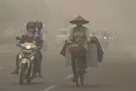 印尼帕朗卡拉亚市（图片来源：越通社）