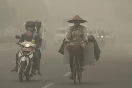 印尼帕朗卡拉亚市（图片来源：越通社）