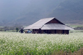 木州美景 （图片来源于网络）