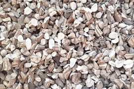 附图：木薯干片（图片来源：因特网）
