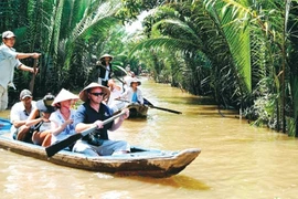 外国游客体验湿地游船乐趣