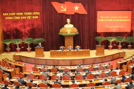 越南共产党一次关于党建工作的会议 （图片来源：越通社）