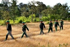 越柬两国军人在越柬边境地区进行巡逻