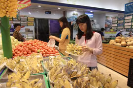 2015年前10个月越南消费品零售总额同比增长9.6％