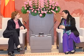 越南国会副主席丛氏放会见德国自由民主党秘书长