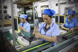 越日信息技术领域合作迎来新机遇 （图片来源：越通社）