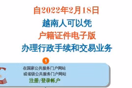 互动图表：自2022年2月18日越南人可以凭户籍证件电子版办理行政手续的交易业务