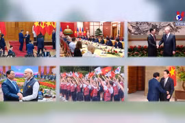 2023年是越南外交成功的一年