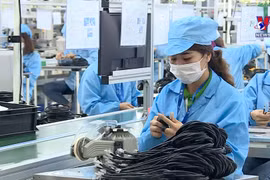 ​ 全球经济前景堪忧 越南需要寻找增长动力