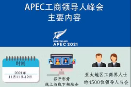 图表新闻：APEC工商领导人峰会主要内容