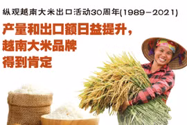 图表新闻：纵观大米出口活动30周年：产量和出口额日益提升，越南大米品牌得以肯定